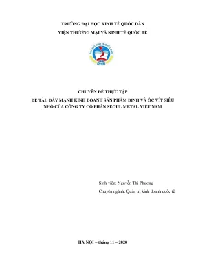 Chuyên đề thực tập: Chiến lược đẩy mạnh kinh doanh đinh 