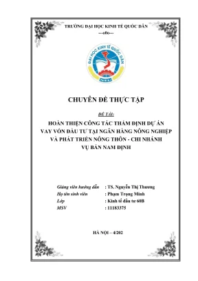 Hoàn thiện công tác thẩm định dự án vay vốn tại Agribank