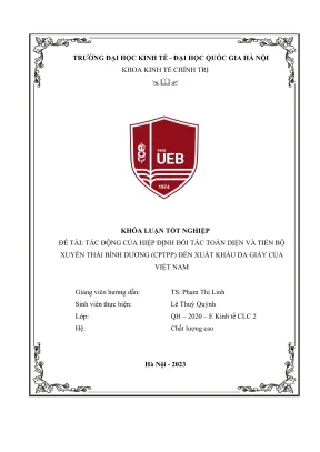 Tác động của CPTPP đến xuất khẩu da giày Việt Nam