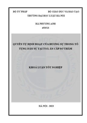 Quyền Tự Định Đoạt Của Đương Sự Trong Tố Tụng Dân Sự Tại 
