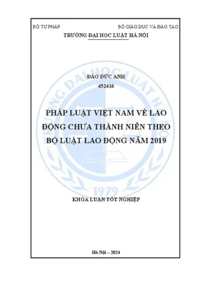 Pháp luật Việt Nam về lao động chưa thành niên theo Bộ 