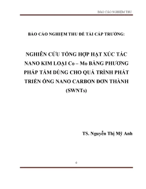 Nghiên cứu tổng hợp hạt xúc tác nano kim loại CoMo cho