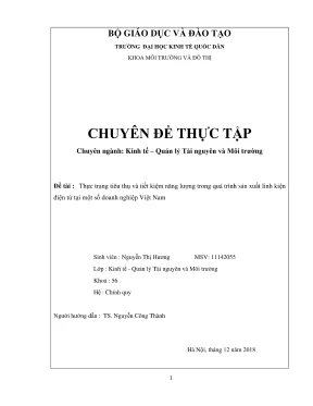 Tiêu thụ và tiết kiệm năng lượng trong sản xuất linh 