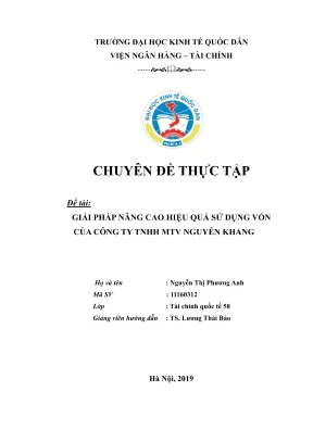 Giải pháp nâng cao hiệu quả sử dụng vốn tại công ty TNHH 