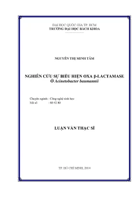 Nghiên cứu biểu hiện OXA β-lactamase ở Acinetobacter