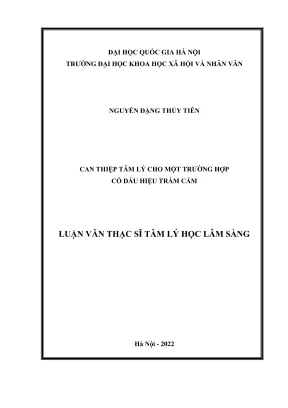 Can Thiệp Tâm Lý Hiệu Quả Cho Trường Hợp Trầm Cảm - Luận 