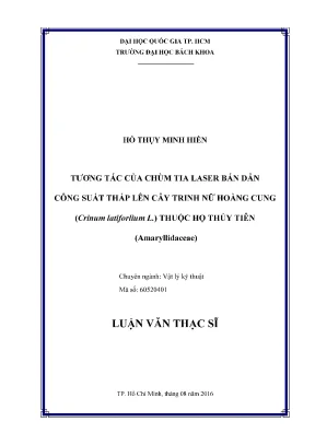 Nghiên cứu tương tác chùm tia laser bán dẫn công suất