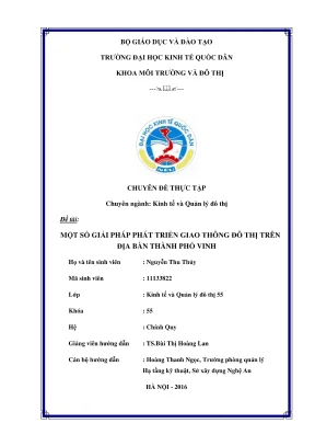 Giải pháp phát triển giao thông đô thị tại thành phố