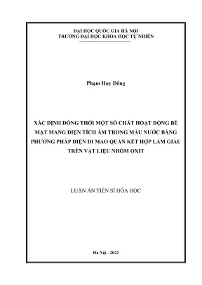 Phương pháp điện di mao quản kết hợp vật liệu nhôm oxit 