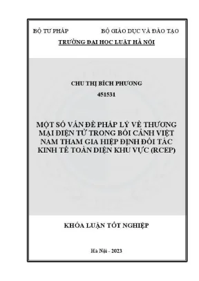 Pháp lý thương mại điện tử tại Việt Nam trong bối cảnh 