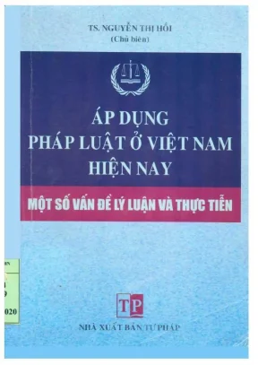 Áp dụng pháp luật tại Việt Nam: Lý luận và thực tiễn từ