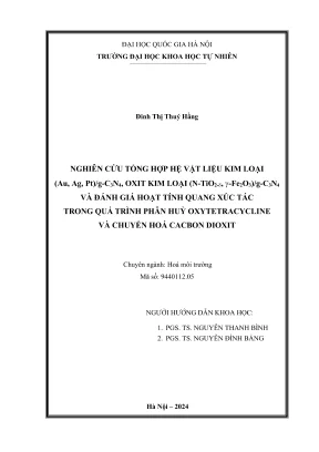 Luận Văn Thạc Sĩ Hóa Môi Trường: Nghiên Cứu Tổng Hợp Hệ 