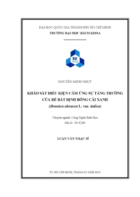 Khảo sát điều kiện tăng trưởng rễ bất định bông cải xanh