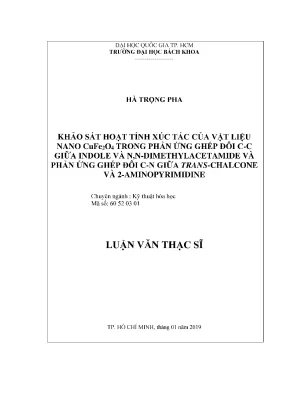 Khảo sát hoạt tính xúc tác của vật liệu nano CuFe2O4