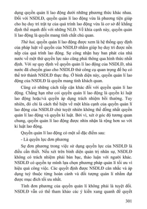 Giáo trình Luật Lao Động Việt Nam - Phần 2 | Đại học 