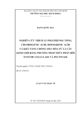 Nghiên cứu trích ly polyphenol từ lá kinh giới bằng