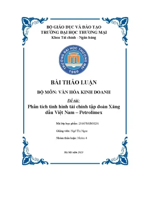 Phân tích tình hình tài chính Petrolimex: Thảo luận văn 