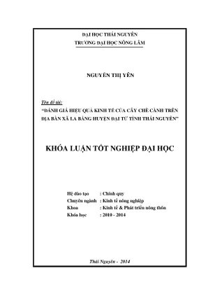 Đánh Giá Hiệu Quả Kinh Tế Cây Chè Cành Tại Xã La Bằng,