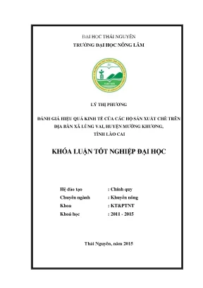 Đánh giá hiệu quả kinh tế sản xuất chè tại xã Lùng Vai,