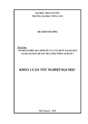 Đánh Giá Hiệu Quả Kinh Tế Cây Quýt Tại Xã Quang Hán,
