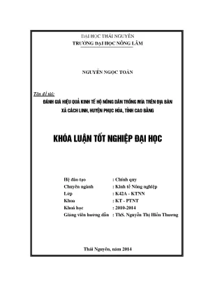 Đánh Giá Hiệu Quả Kinh Tế Hộ Nông Dân Trồng Mía Tại Xã