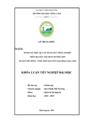 Đánh Giá Hiệu Quả Sử Dụng Đất Nông Nghiệp Tại Thị Trấn