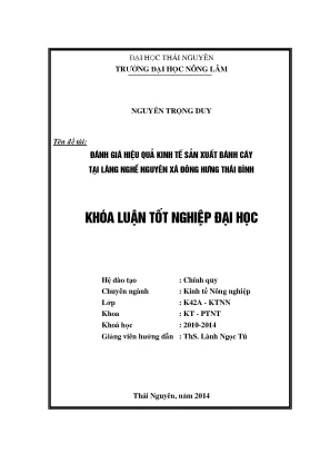 Đánh Giá Hiệu Quả Kinh Tế Sản Xuất Bánh Cáy Tại Làng