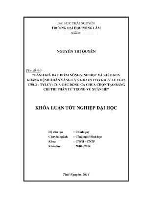 Đánh giá đặc điểm nông sinh học và gen kháng bệnh xoăn