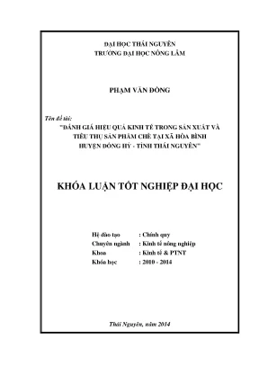 Đánh giá hiệu quả kinh tế sản xuất và tiêu thụ chè tại