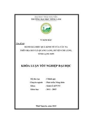 Đánh Giá Hiệu Quả Kinh Tế Cây Na Tại Xã Quang Lang,