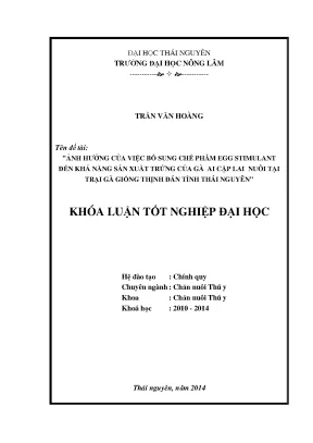 Ảnh hưởng của chế phẩm Egg Stimulant đến sản xuất trứng