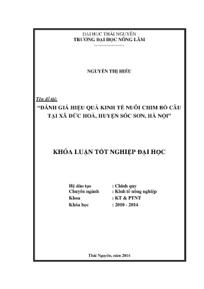 Đánh Giá Hiệu Quả Kinh Tế Nuôi Chim Bồ Câu Tại Xã Đức