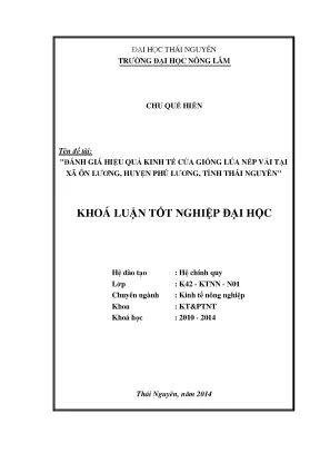 Đánh Giá Hiệu Quả Kinh Tế Giống Lúa Nếp Vải Tại Xã Ôn