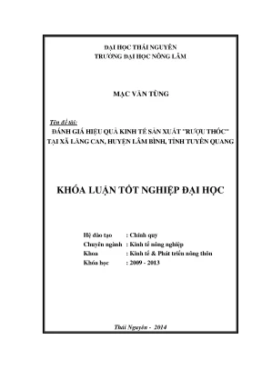 Đánh giá hiệu quả kinh tế sản xuất rượu thóc tại xã Lăng
