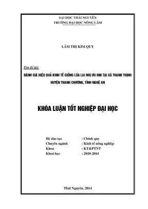 Đánh Giá Hiệu Quả Kinh Tế Giống Lúa Lai Nhị Ưu 986 Tại
