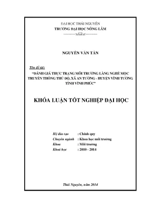 Đánh giá thực trạng môi trường làng nghề mộc truyền