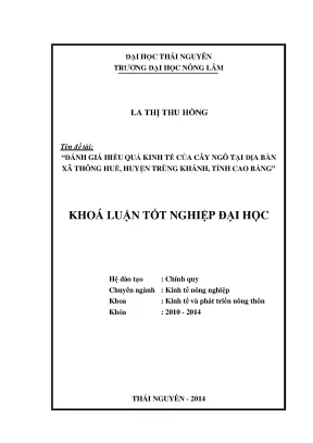 Đánh Giá Hiệu Quả Kinh Tế Của Cây Ngô Tại Xã Thông Huề,