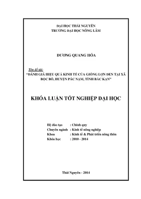 Đánh Giá Hiệu Quả Kinh Tế Giống Lợn Đen Tại Xã Bộc Bố,