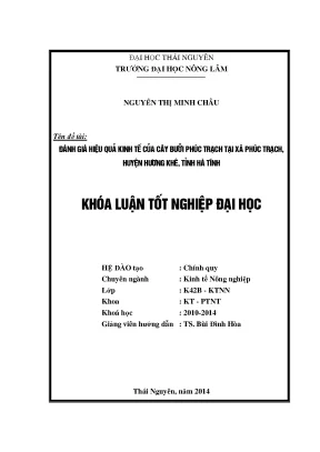 Đánh Giá Hiệu Quả Kinh Tế Cây Bưởi Phúc Trạch Tại Hương