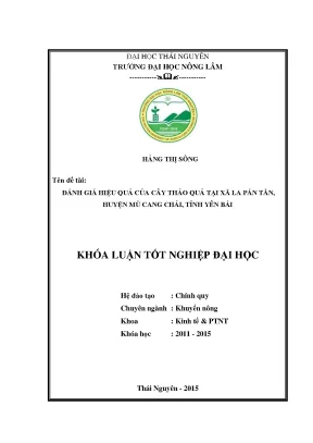 Đánh Giá Hiệu Quả Cây Thảo Quả Tại Xã La Pán Tẩn, Mù