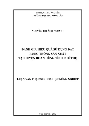 Đánh Giá Hiệu Quả Sử Dụng Đất Rừng Trồng Sản Xuất Tại