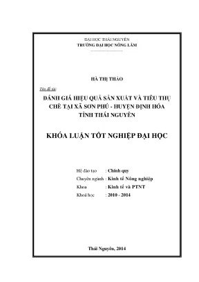 Đánh giá hiệu quả sản xuất và tiêu thụ chè tại xã Sơn