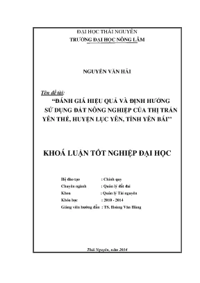 Luận Văn Thạc Sĩ: Đánh Giá Hiệu Quả & Định Hướng Sử Dụng