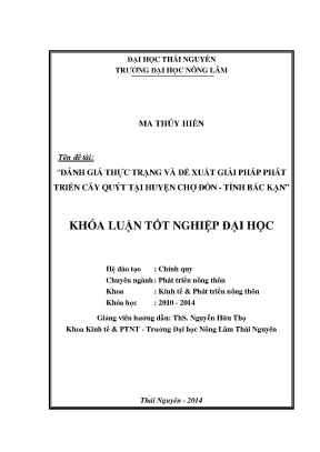Đánh Giá Thực Trạng Và Giải Pháp Phát Triển Cây Quýt Tại