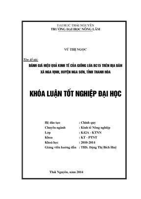 Đánh giá hiệu quả kinh tế giống lúa BC15 tại xã Nga
