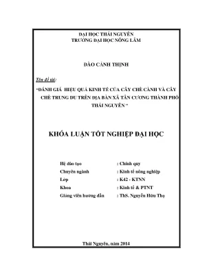 Đánh giá hiệu quả kinh tế cây chè cành và chè trung du