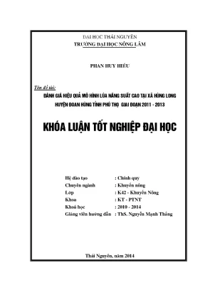 Đánh giá hiệu quả mô hình lúa năng suất cao tại Hùng