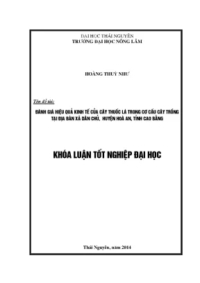 Đánh giá hiệu quả kinh tế cây thuốc lá tại xã Dân Chủ,
