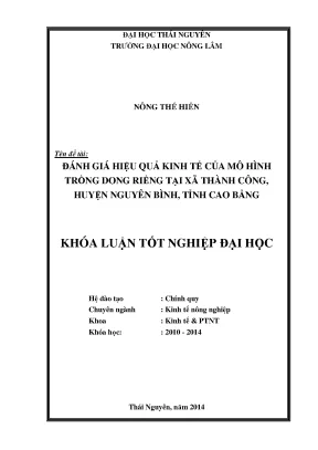 Đánh Giá Hiệu Quả Kinh Tế Mô Hình Trồng Dong Riềng Tại