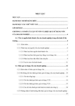 Luận Văn Thạc Sĩ: Giải Pháp Nâng Cao Hiệu Quả Sử Dụng